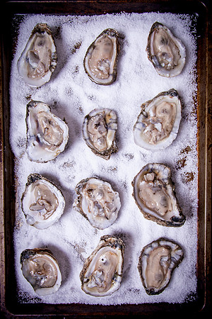 8015 Tray of raw oysters