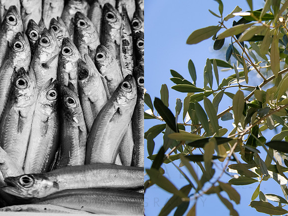 Sardines/Olive Tree