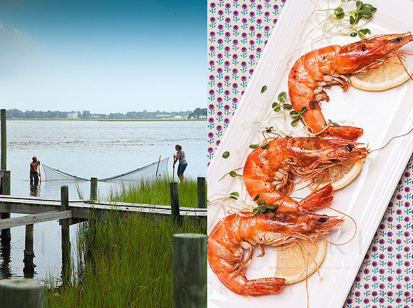 Shrimps