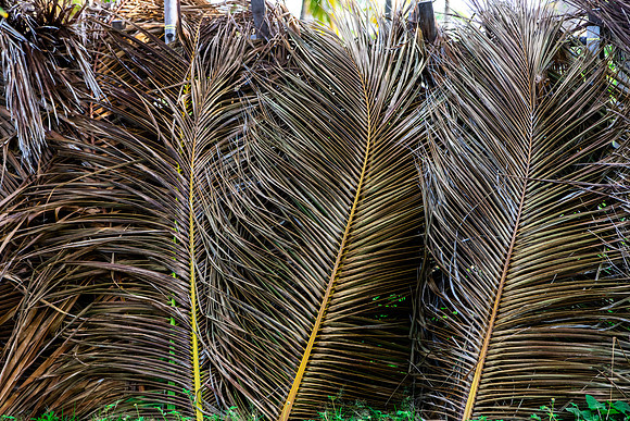 5052 Fence