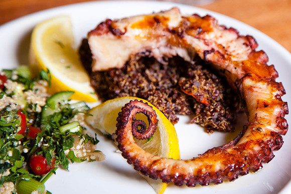 Grilled Octopus, Cypriana, Baltimore