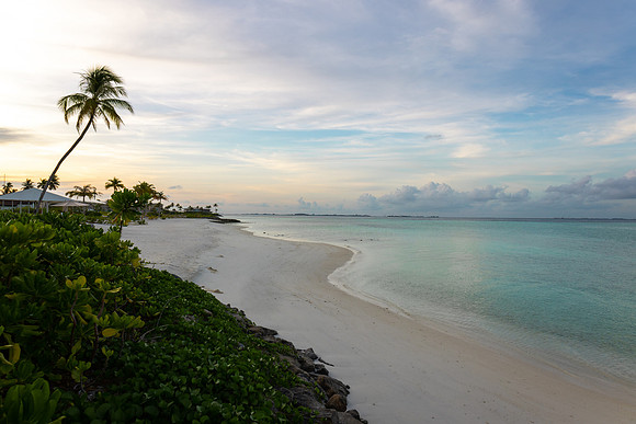 1117 Lonely beach, Maldives