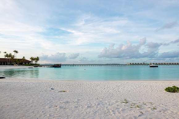 1146 Beach in the morning, Maldives