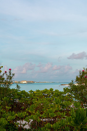 0267 View with lush vegetation, Maldives
