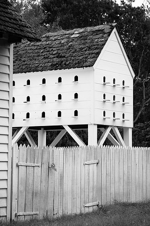 3077 Bird house