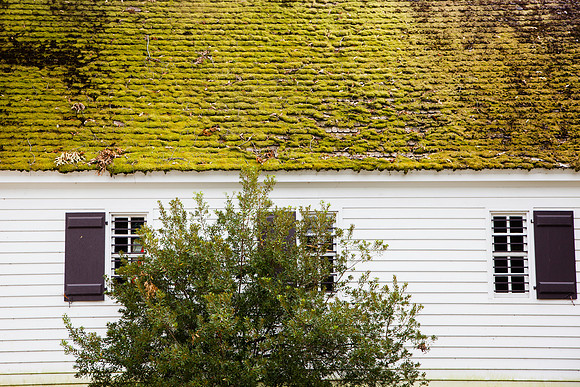 5044 Moss roof house
