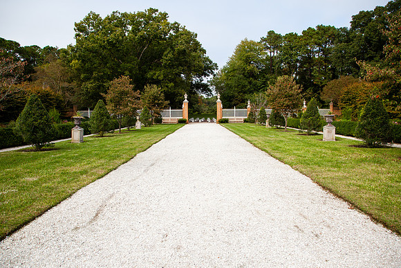 9022 Garden landscape