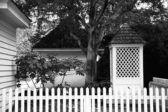 3078 Backyard