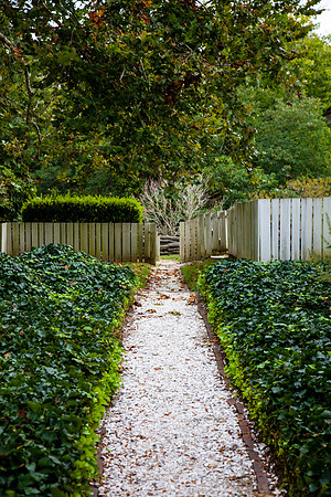 9037 Ivy path