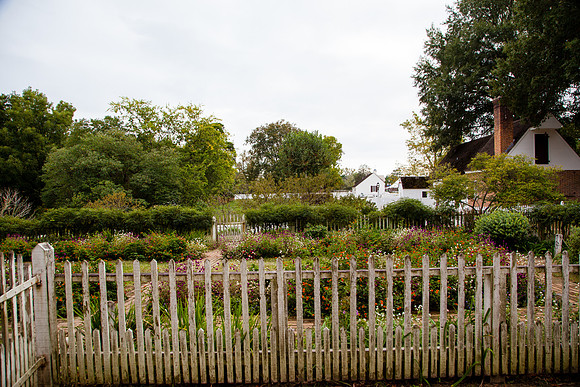 9038 Lush gardens