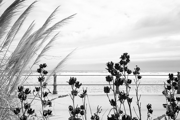 3068 Boardwalk