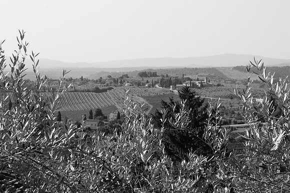 3023 Tuscan landscape, Italy