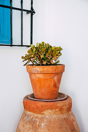 2075 Terracotta pot