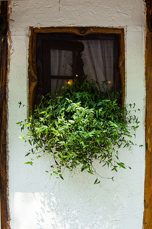 4060 Picturesque window