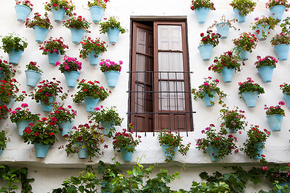 2026 Flower pot wall, Cordoba