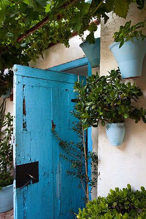 2023 Secret garden