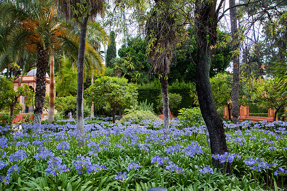 2072 Beautiful garden, Spain