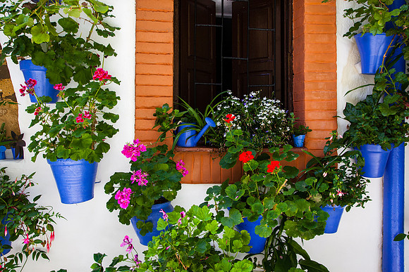 2024 Lots of pots on a wall, Cordoba