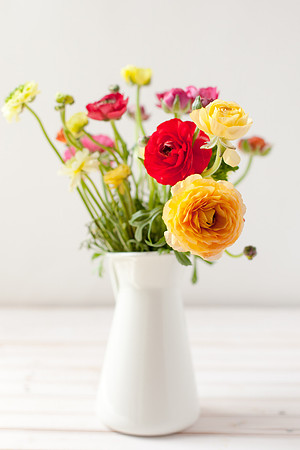 2045 Ranunculus in a vase