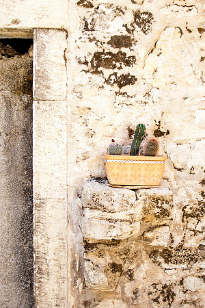 2065 Cacti, Crete