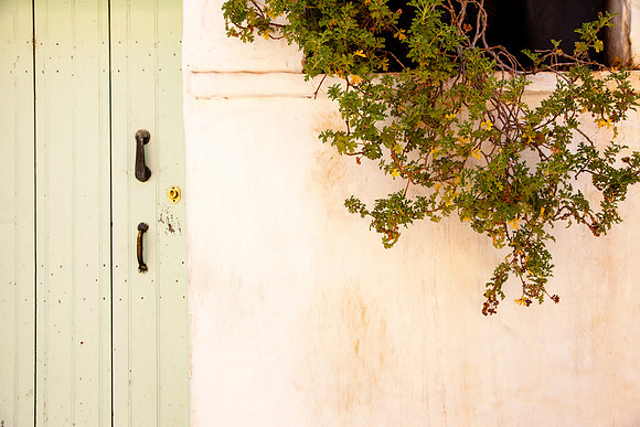 2066 Mediterranean vegetation