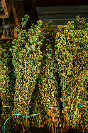 8037 Herbs