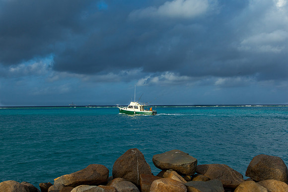 1024 Sea hunters