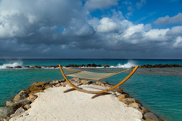 1026 Hammock