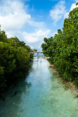1029 Perfect vacation