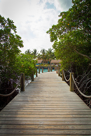 1030 Tropical sea