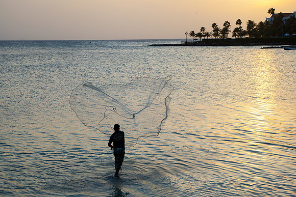 1038 Fishing net