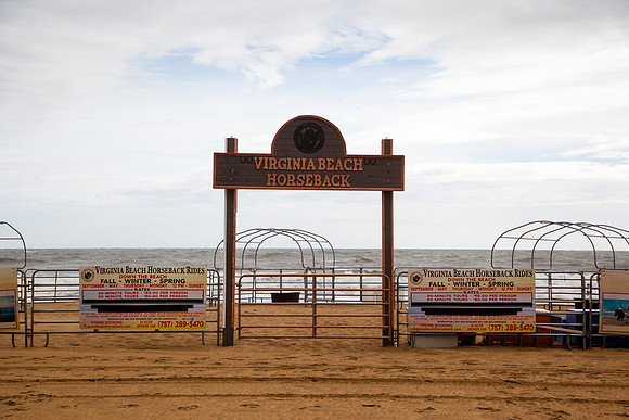 1094 Beach horseback ride, Virginia Beach
