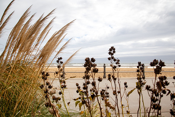 1101 Oceanfront, Virginia Beach