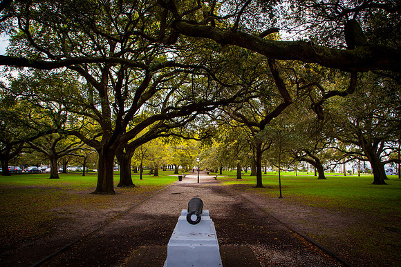 0033 Waterfront park, Charleston