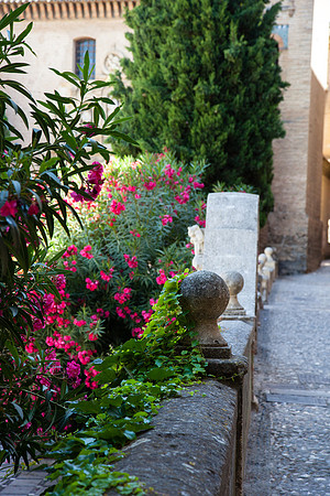 0070 Mediterranean town