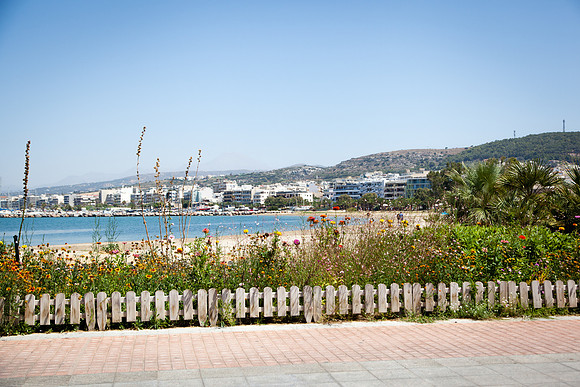 0109 Beach flowers, Rethymno