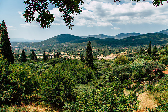 0152 Old Messene, Peloponnese