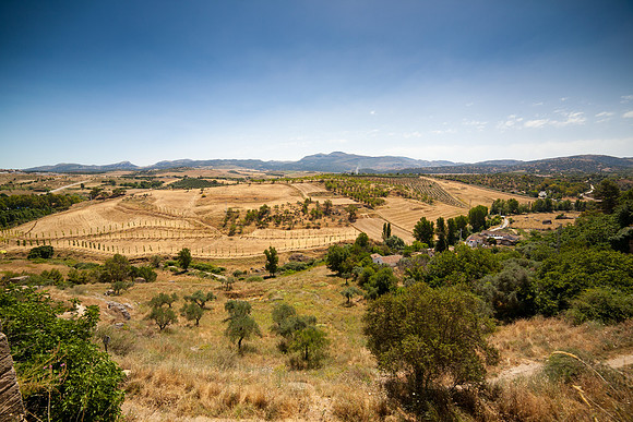 0157 Spanish countryside