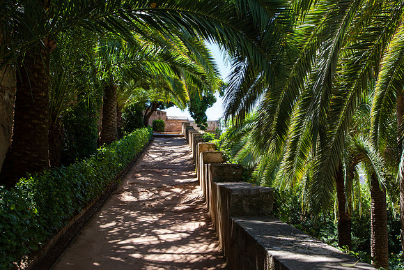 0165 Shady path
