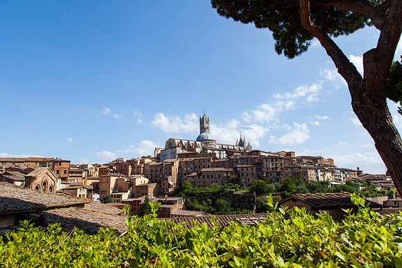 0189 Sienna panorama