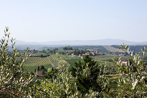 0206 Tuscan landscape