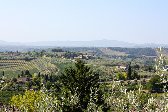 0207 Tuscan hills