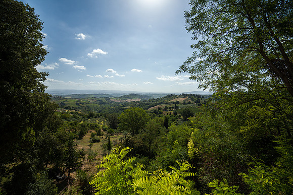 0208 Sun of Tuscany