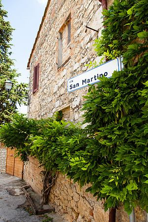 0219 Via San Martino, Tuscany