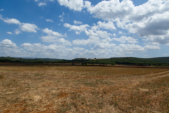 0222 Fields of Tuscany