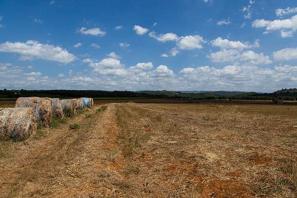 0223 Hay bales, Tuscany