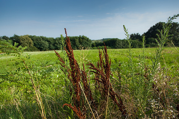 4038 Countryside, Serbia