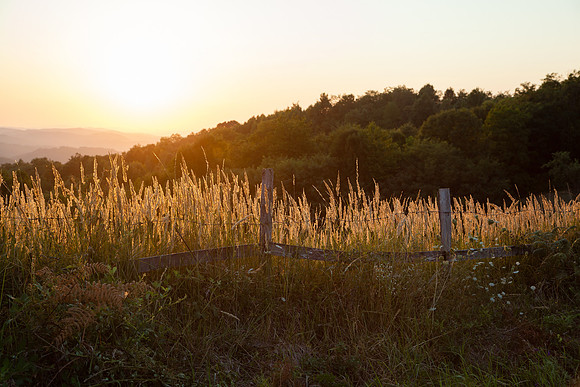 4052 Sunset
