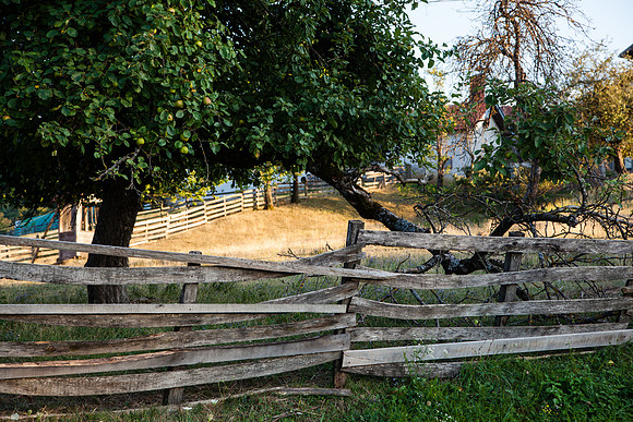 4053 Old fence