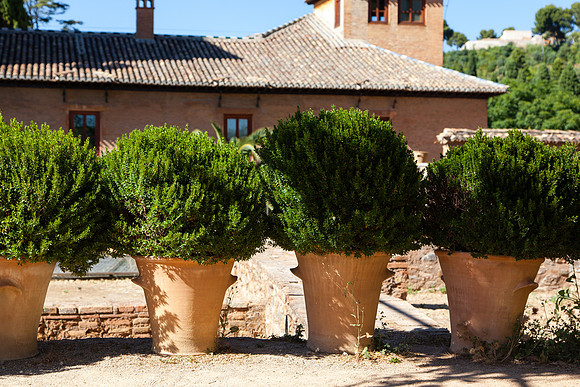2071 Terracotta pots